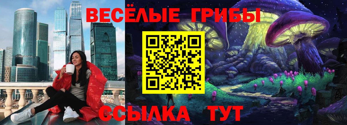 Соликамск  Галлюциногенные грибы Psilocybe  Вход с VPN 