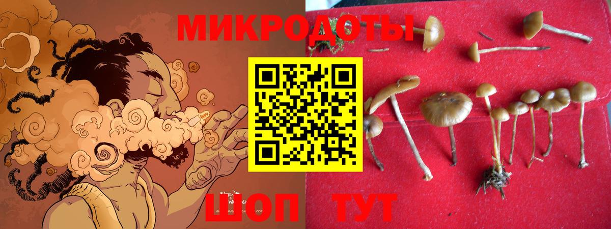Галлюциногенные грибы Cubensis Соликамск